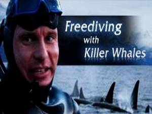 freediving-with-killer-whales-banner